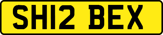 SH12BEX