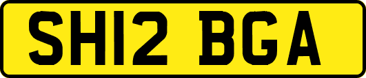 SH12BGA