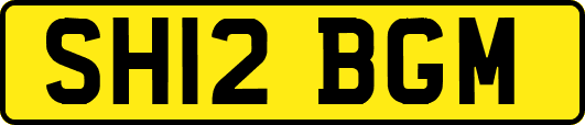 SH12BGM