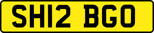 SH12BGO