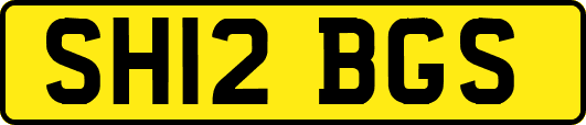 SH12BGS