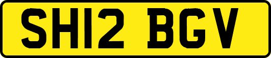 SH12BGV