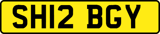 SH12BGY