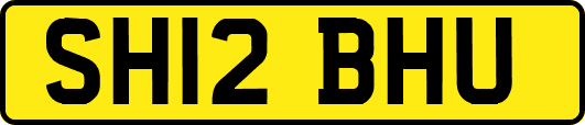 SH12BHU