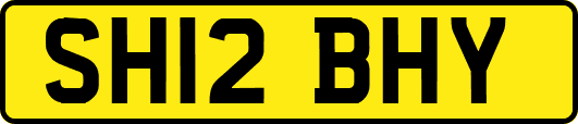 SH12BHY