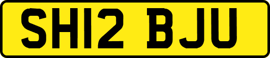 SH12BJU