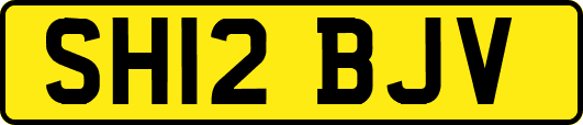 SH12BJV