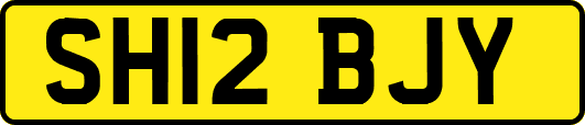 SH12BJY