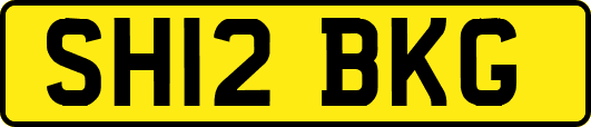 SH12BKG