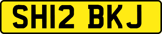 SH12BKJ