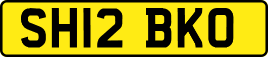 SH12BKO