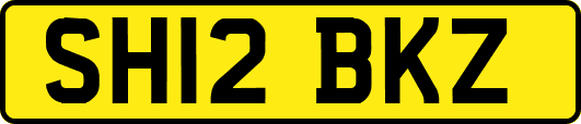 SH12BKZ