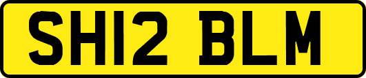 SH12BLM