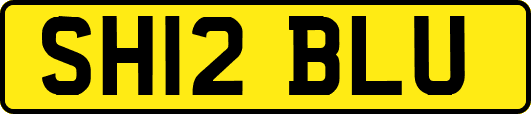 SH12BLU