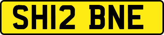 SH12BNE