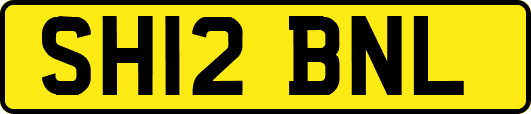 SH12BNL