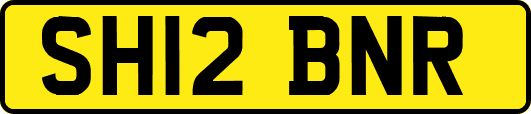 SH12BNR