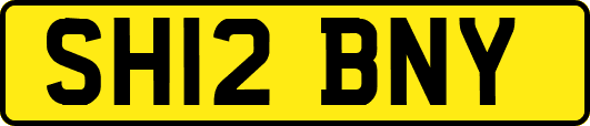 SH12BNY