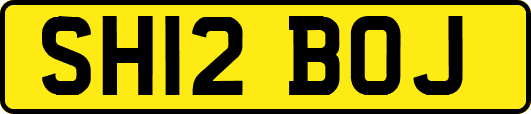 SH12BOJ