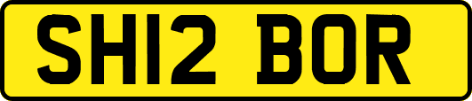 SH12BOR