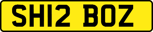 SH12BOZ