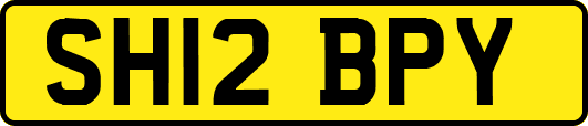 SH12BPY