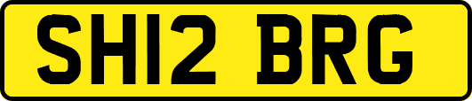 SH12BRG