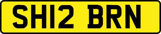 SH12BRN