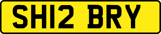 SH12BRY