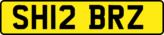 SH12BRZ