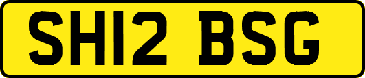 SH12BSG