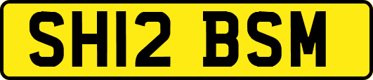 SH12BSM