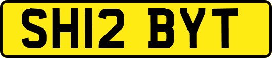 SH12BYT