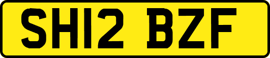 SH12BZF