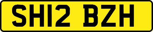 SH12BZH