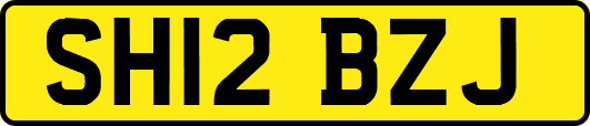 SH12BZJ