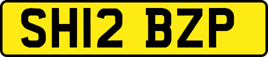 SH12BZP