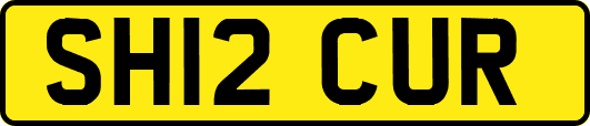 SH12CUR