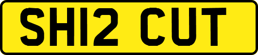 SH12CUT