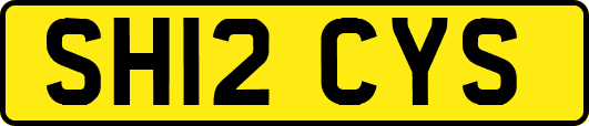 SH12CYS