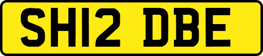SH12DBE