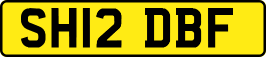 SH12DBF