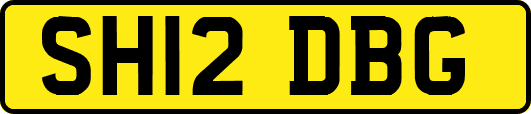 SH12DBG