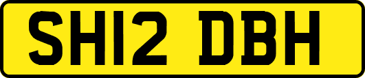 SH12DBH