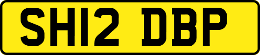 SH12DBP
