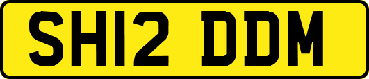 SH12DDM