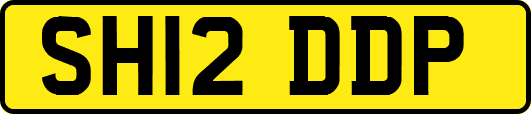 SH12DDP