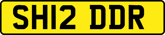SH12DDR