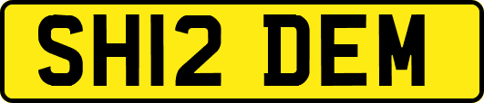 SH12DEM