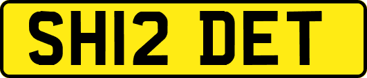 SH12DET